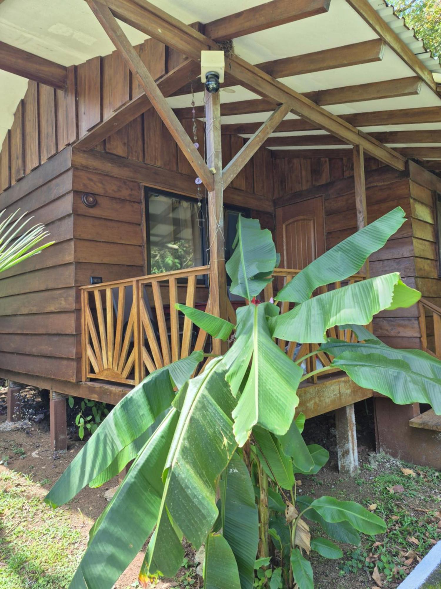 Centro Ananda Bed & Breakfast Guapiles Exterior photo